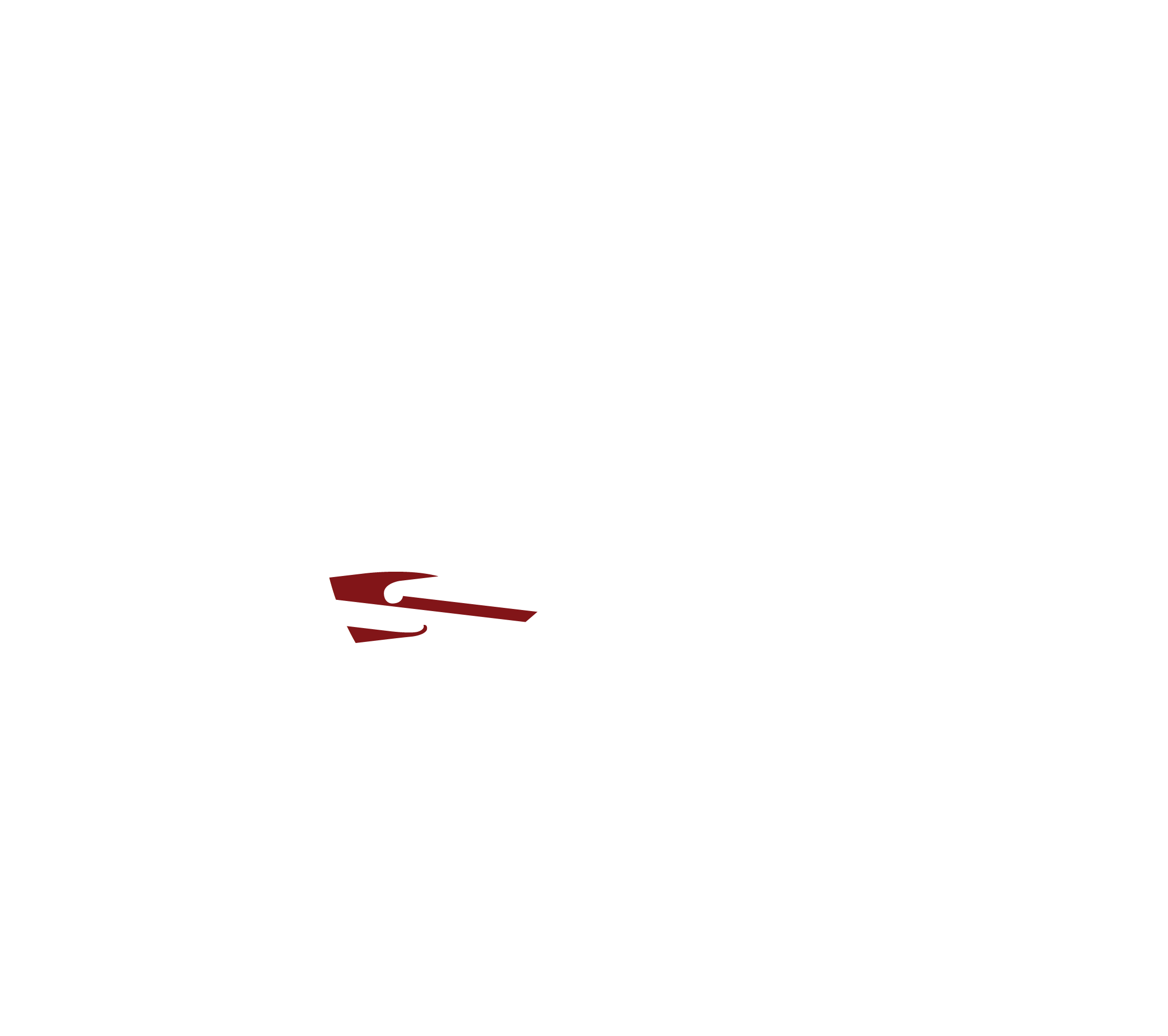 Tohu Tuarua White resized3