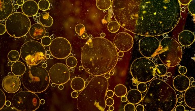 pisauikan pE5M9ixYaN4 unsplash